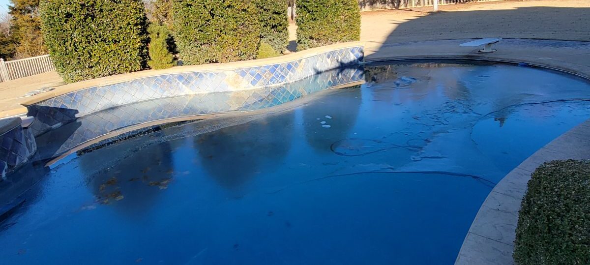 Before image of outdated freeform pool with old tile and no diving board.